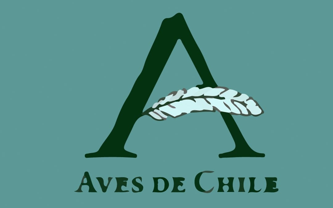 “Aves de Chile y Vuelos Cruzados”