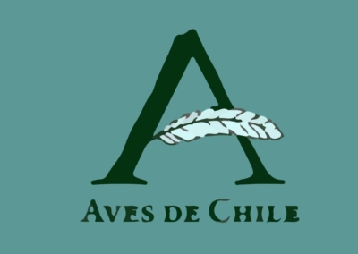 “Aves de Chile y Vuelos Cruzados”